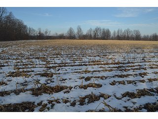 Property photo 17 - FARMLAND AUCTION, 60+/- Acres in 6 Tracts ranging from 4 to 20 acres & in combinations!